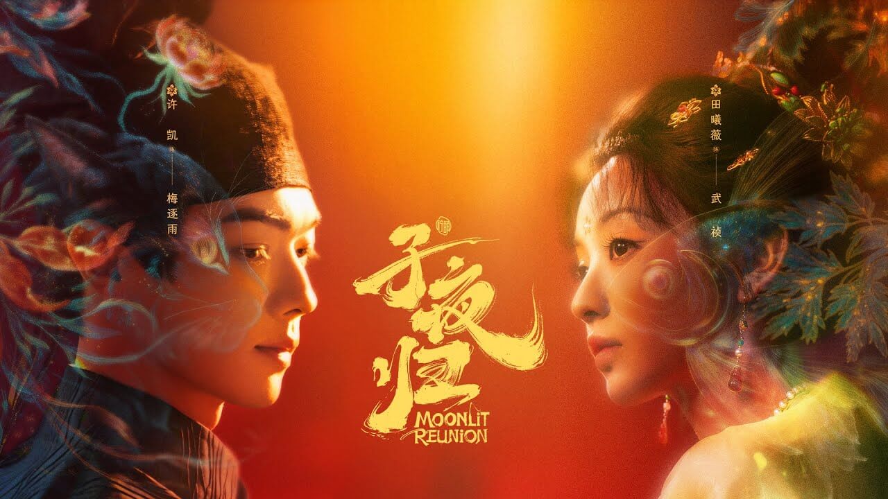 Tử Dạ Quy Tử Dạ Quy